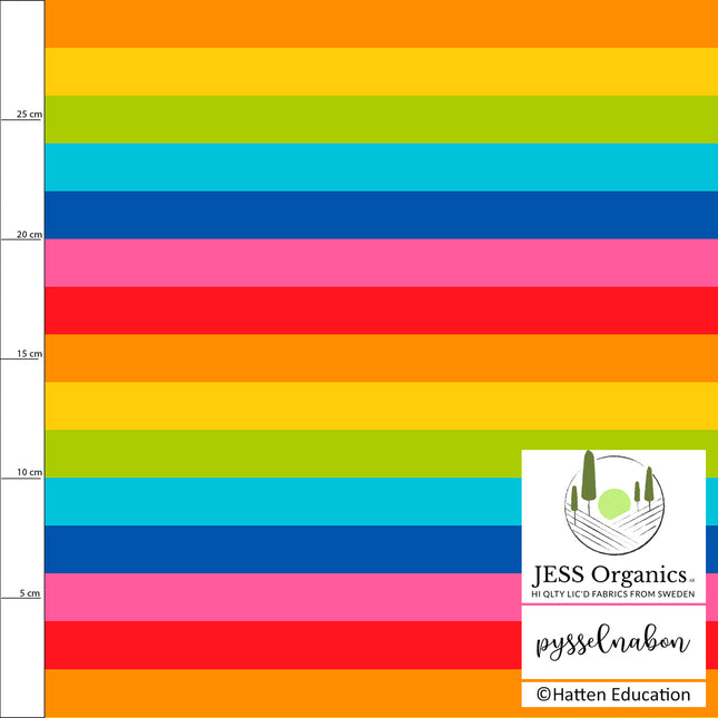FB Babblarna - Rainbow Stripes (bomullstrøye)